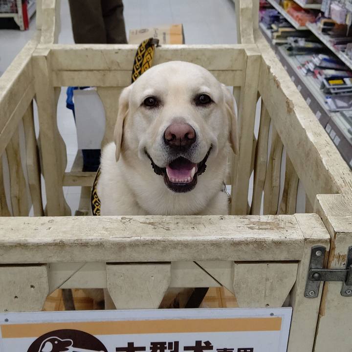 A34376ef 36ea 44ae 85d0 f593a8d6e20f 1629182554657