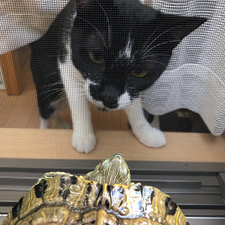 A34383b6 ead3 4e53 86ef 0cc6d603ac0f 1537705839035