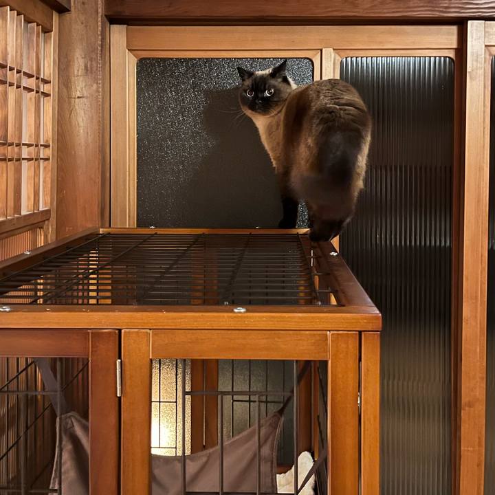 A3442bf4 4d11 429b 96ff 6c343cca8e19 1683416709846