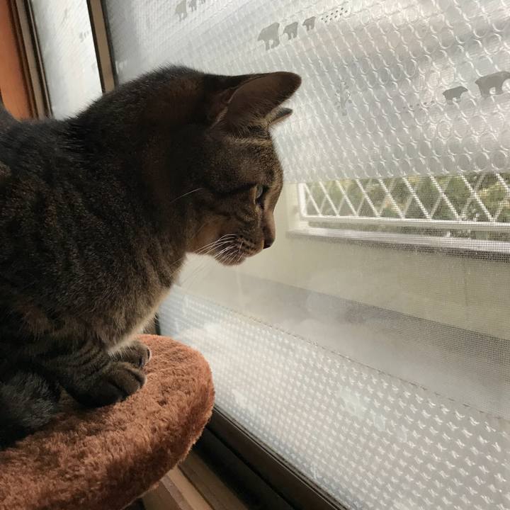 A3442d62 a2e4 4e1f ae8b 7cdff068b17b 1514675832025