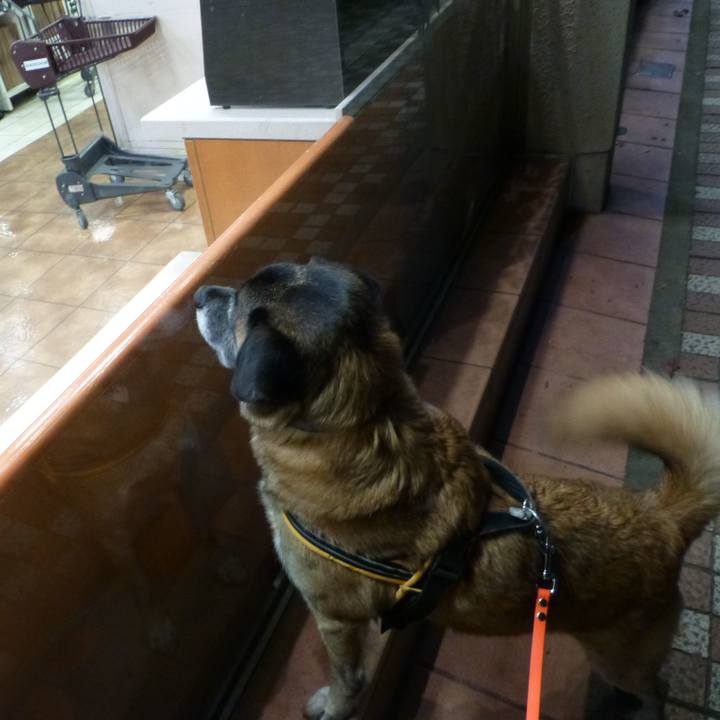 A3447af5 1dc8 400a a96f 8ef84069e04a 1580736204545