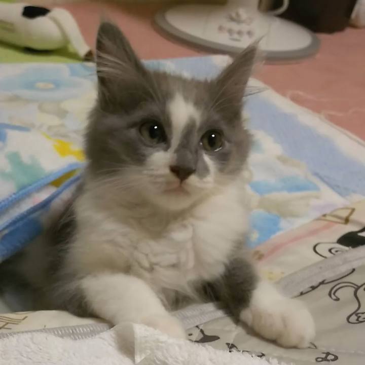 A34490ce bf6b 446f 8ce4 775e8bda71a0 1562719425785