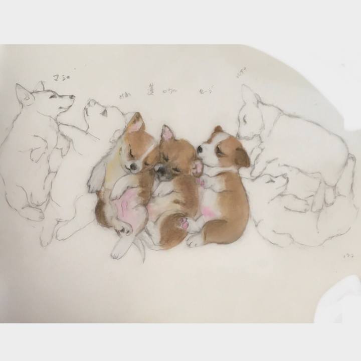 A3449445 62b4 4c4d aea6 aefd6bc908eb 1610551587145