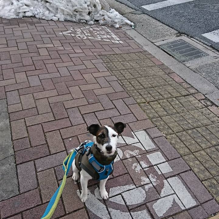 A344a503 97c2 4267 9040 ed6c86aeb582 1517125158154