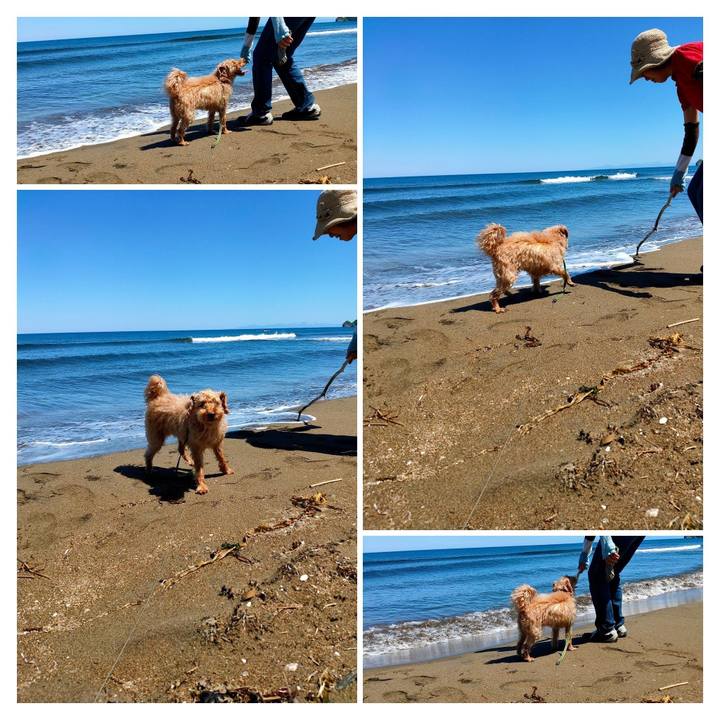 A344c5dd 0865 40db a26c d30d92a4276b 1591156326325