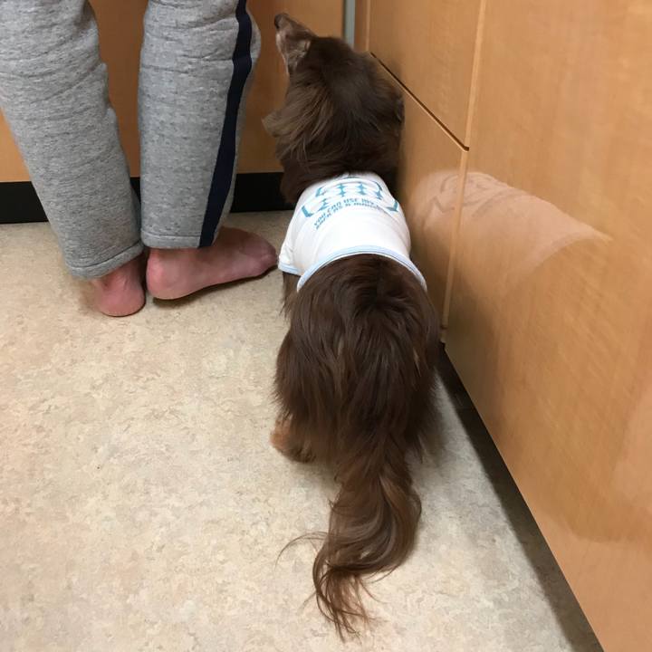 A344e835 4c0f 4255 8f0f 85ca16e20ba1 1522187397421