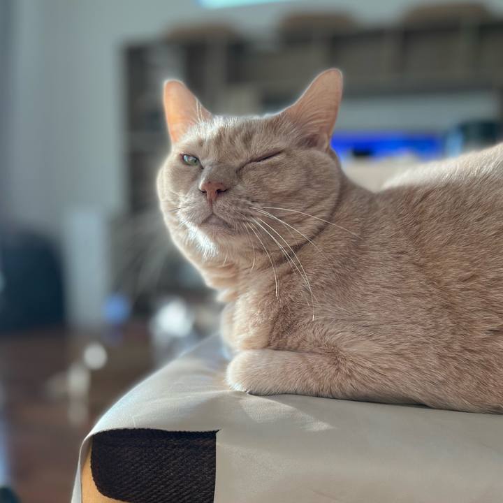 A3450397 6e36 4ab5 9b68 d6caef791ddc 1664140741896