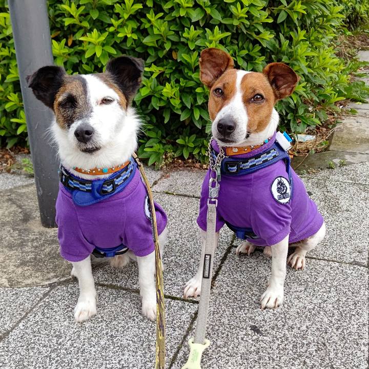 A34530a8 d472 4d47 a4ee ad1825984d01 1622328706805