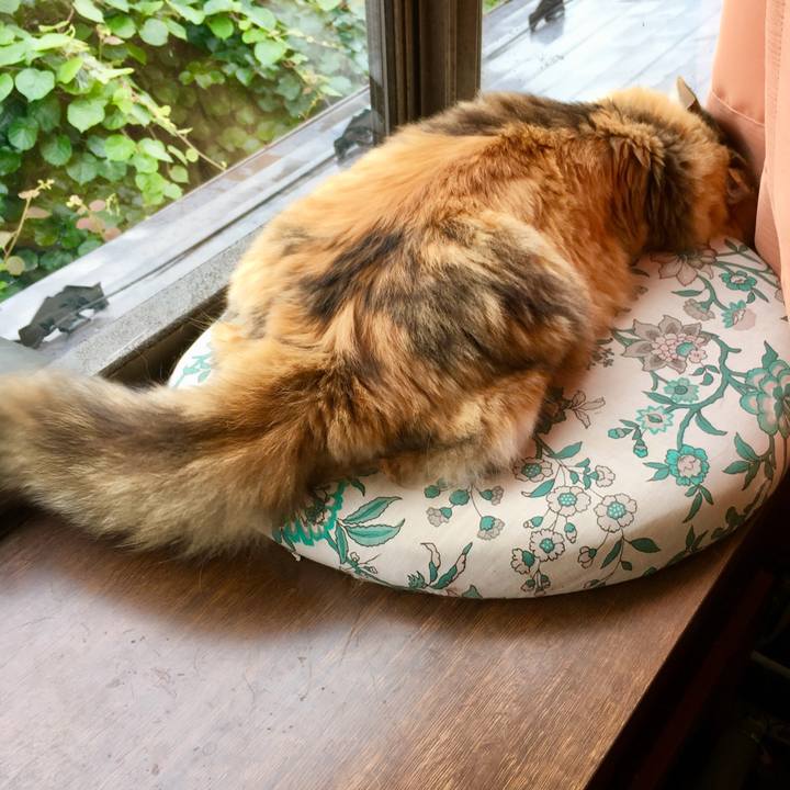 A3454ae6 4ce1 40bf ba92 3dd73c568b58 1562210232167