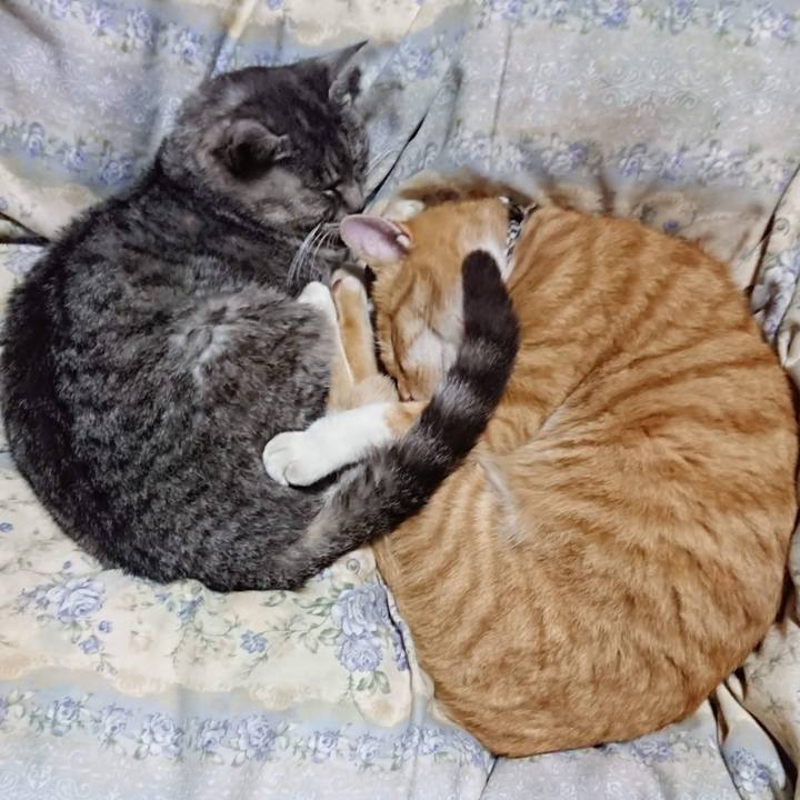 A3456e99 4880 4d15 a200 b404e0dd4c93 1604749924471