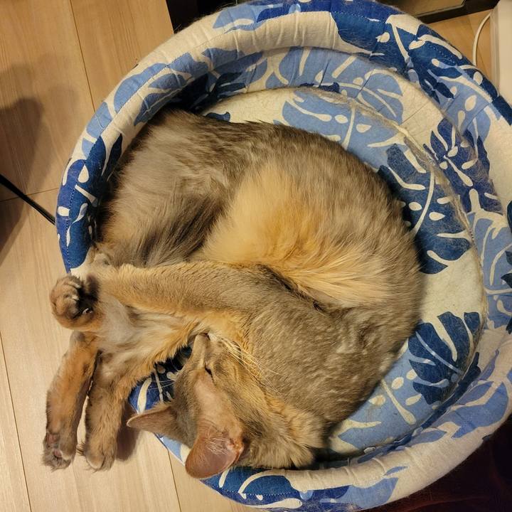 A34573b7 5b02 41c8 8c3d 87668286f450 1641556737302