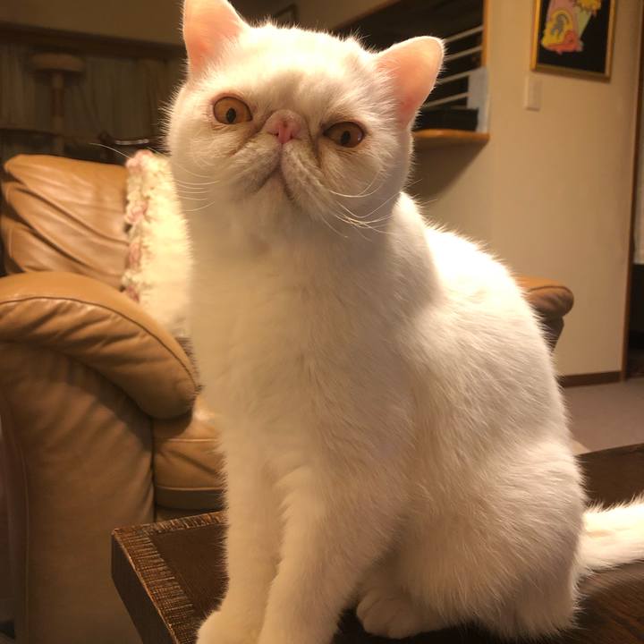 A345761e 0277 4414 8c87 03983f1061a7 1681299937474