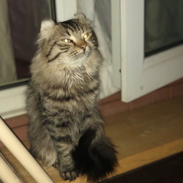 A3458ebe 0703 4c09 9b74 8b65b40b49f4 1529335614365