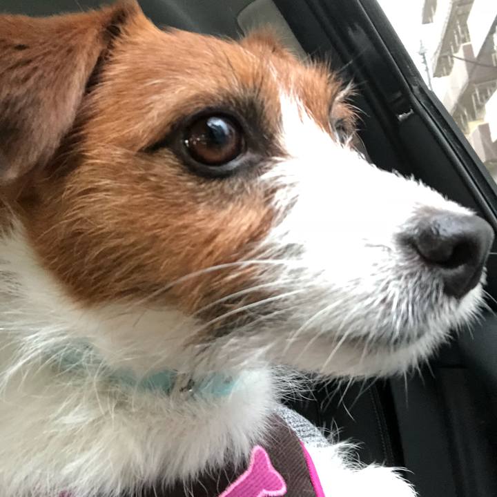 A345949d 0020 47bb 8e2b 3a098be9aeb4 1523774876682