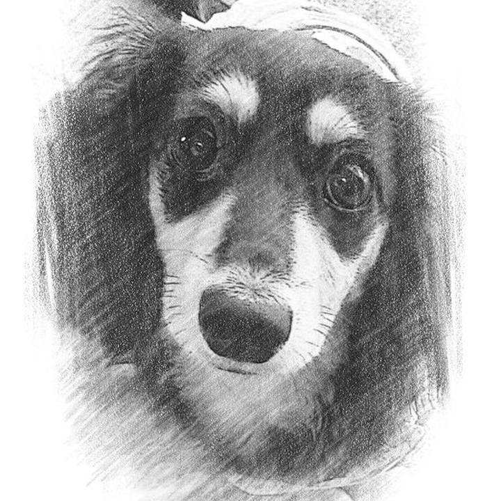 A345969b 1266 4090 bc80 dcf4fe0bf351 1673774201197