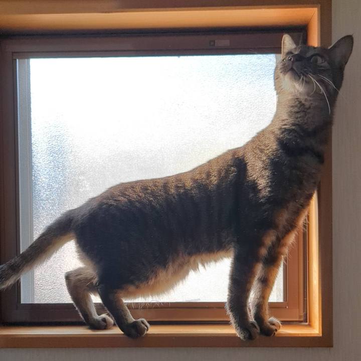 A345b1c0 34d6 4b01 948d 71fd9e904057 1769177926475