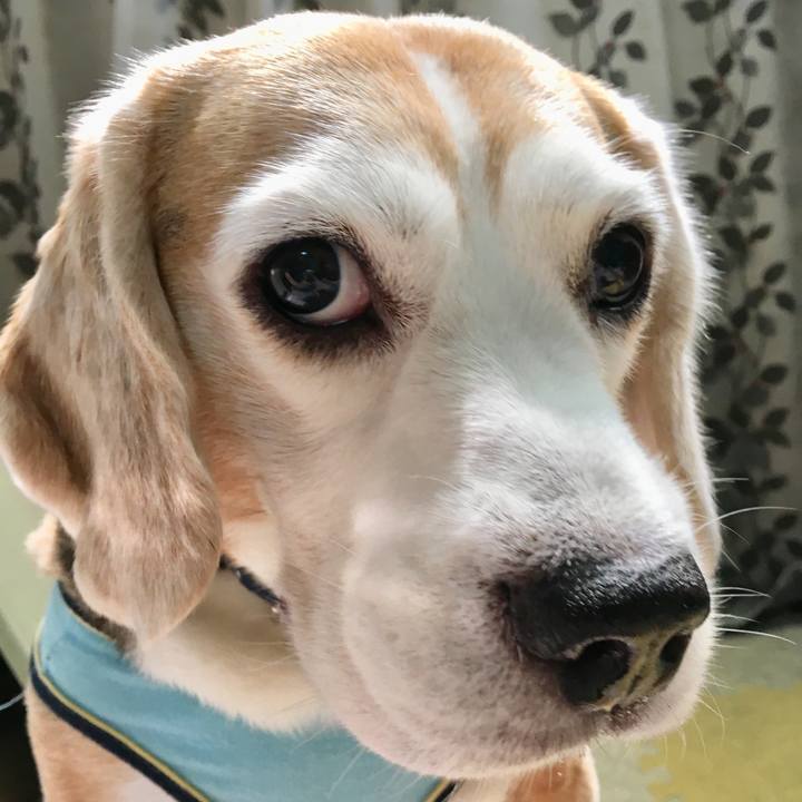 A345ea9b 2d39 4a5c 9781 3bd57ee5ee2c 1565495370466