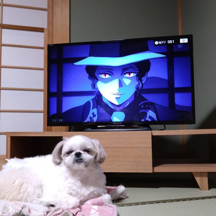 A345ee3c 6e38 4b5b 95a4 7bf7856e5b23 1708176636317