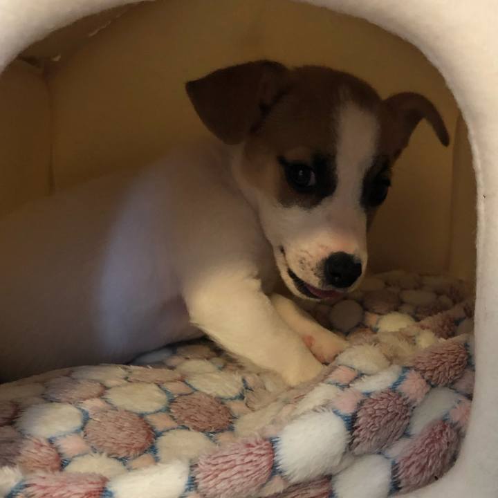 A345f2ff 3481 4a50 8114 2fb54d4c426a 1545267716451