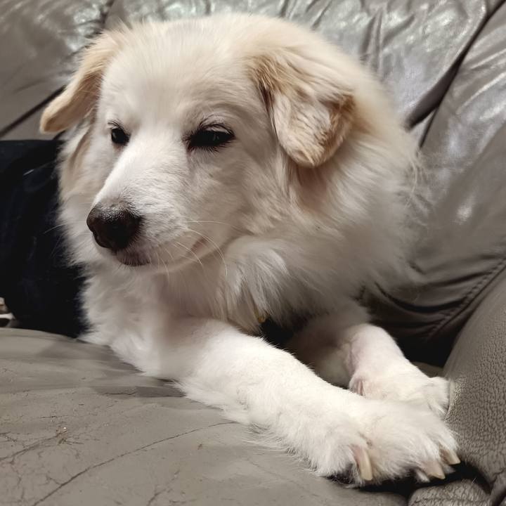 A3462107 1746 4f15 9b9e e84adc6f1966 1708465711883