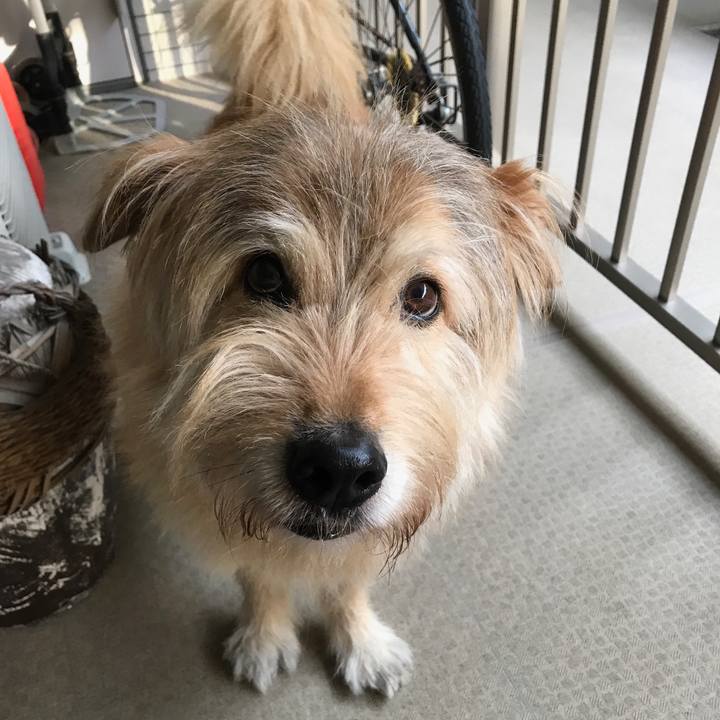 A3463ff1 b4e1 440a 8964 d0d8b8c14d0d 1617271791045