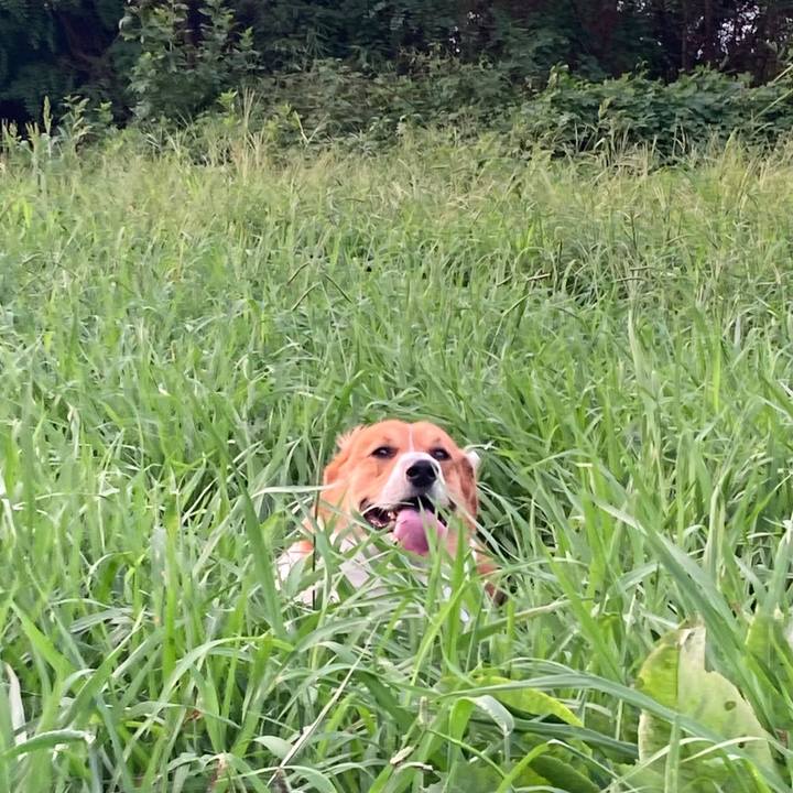 A3465045 53af 45be 8196 04c238465c73 1693955913275