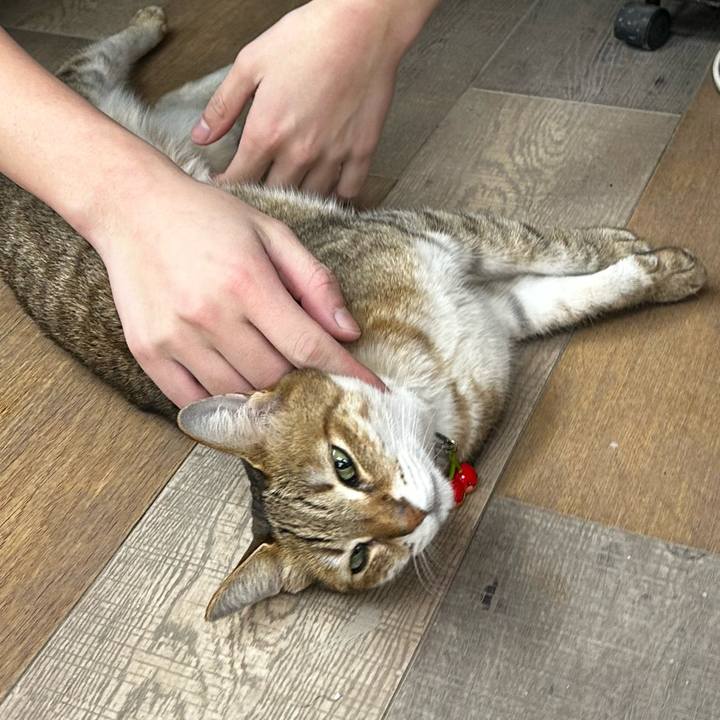 A3469df4 f364 487a a434 8a5cc9f361bf 1772844543926