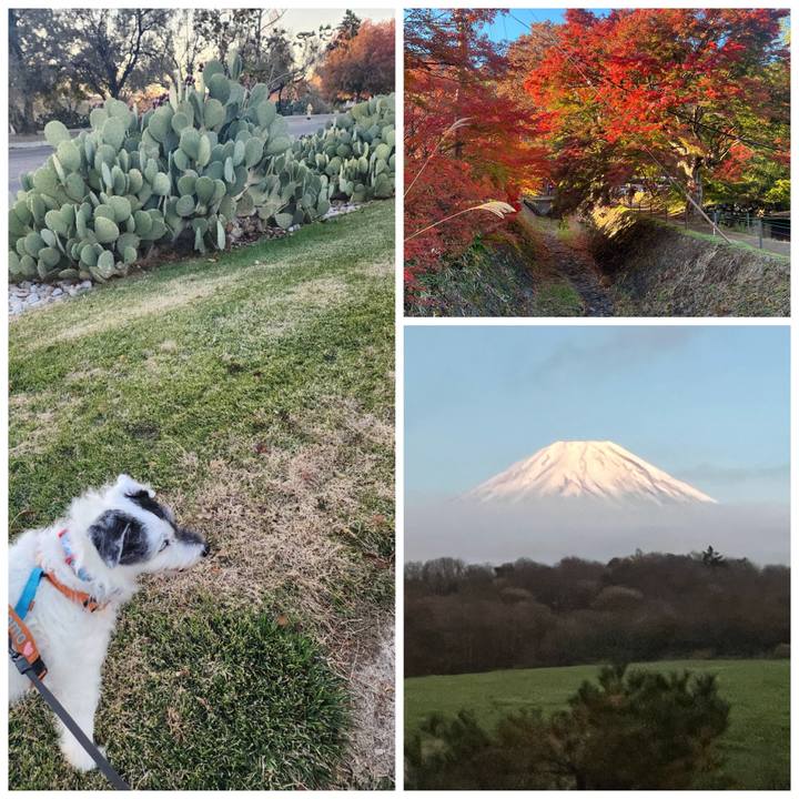 A346a94d 35c8 4f42 8741 677ca5e526ac 1732176960259