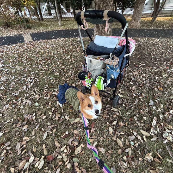 A346e749 51c6 4af9 ac82 3e1202d43c78 1763980432216