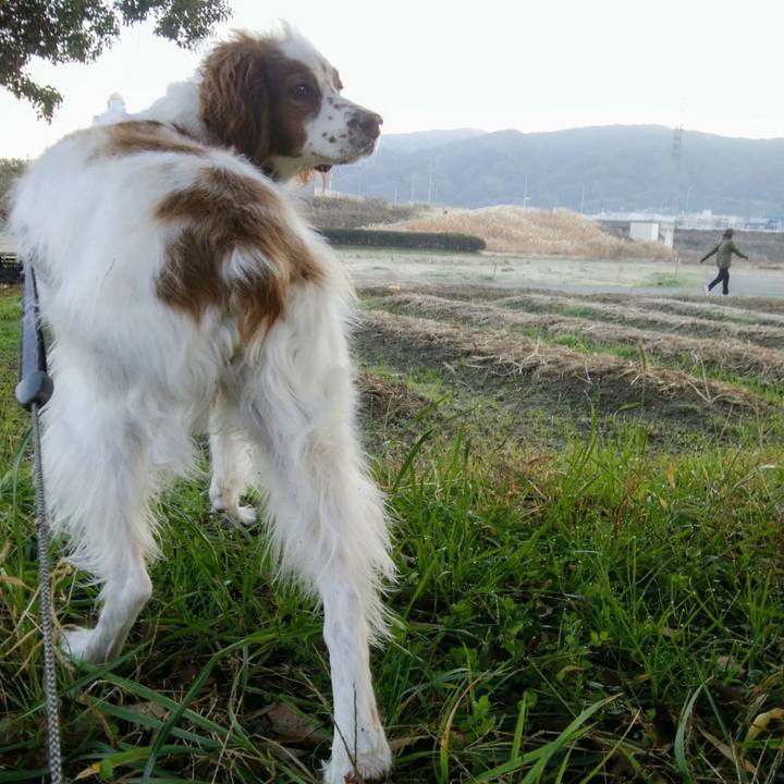 A346f5d4 5a9b 4d45 aa44 751f1e4f5c33 1545177471175