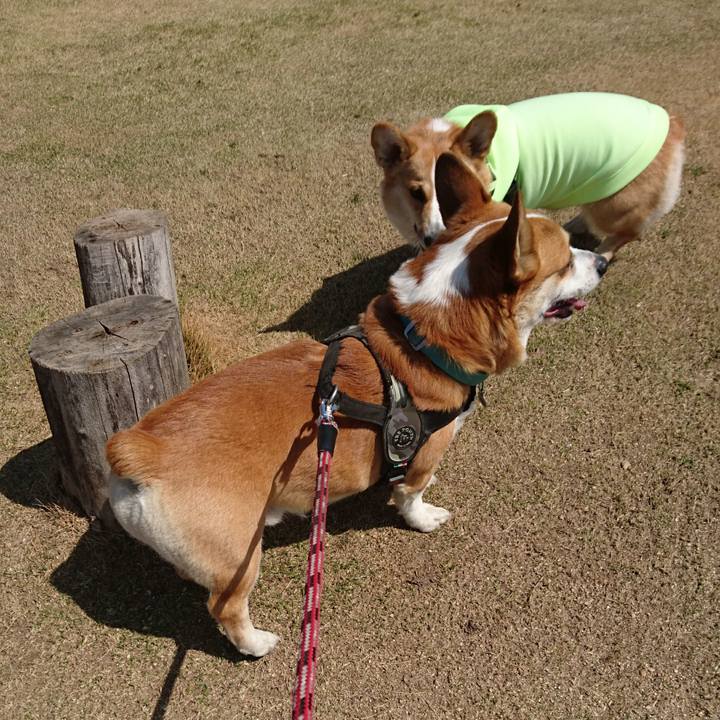 A347131b 9d76 4fa4 9e2d 6688d7ff1f53 1647323766576