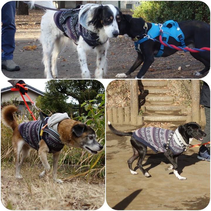 A3471aac a300 418b 8b78 93884874eb7e 1607393401165