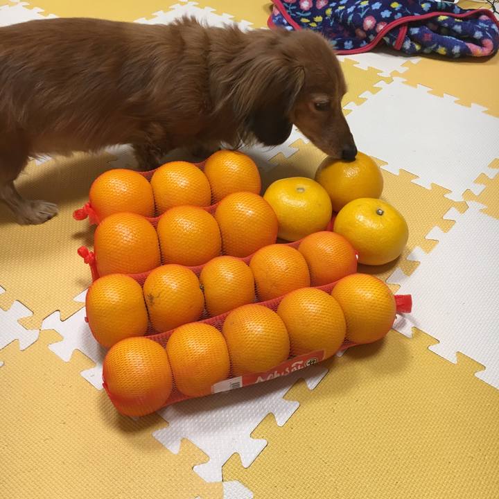 A34759e0 1cda 410f 99e3 22e33f6fa74a 1550843218303