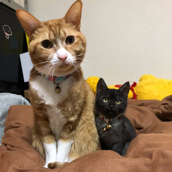 A3476b76 1570 4442 920b fbdba9f5939e 1606516210656