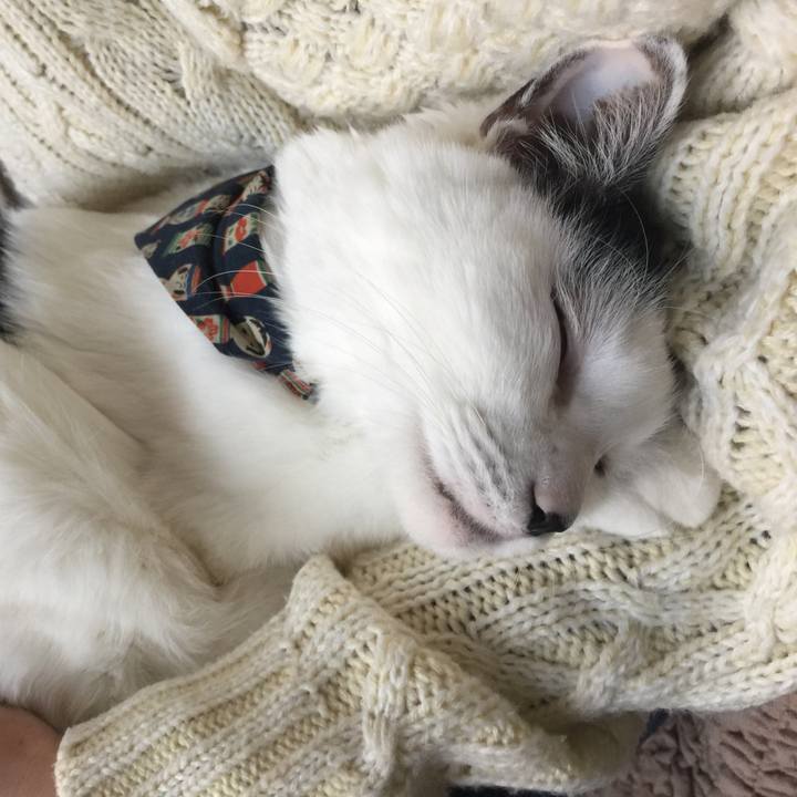 A347a331 0f55 4120 b509 cf3cb226ecfc 1515814273233