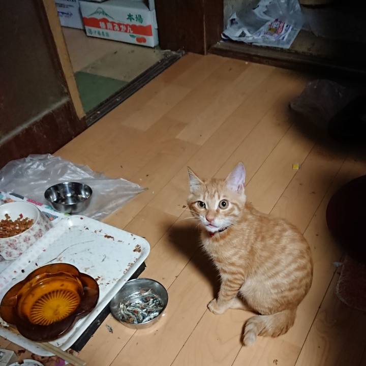 A347b2a8 2f7d 4efc 9a80 77a2a4d0177a 1633899006520