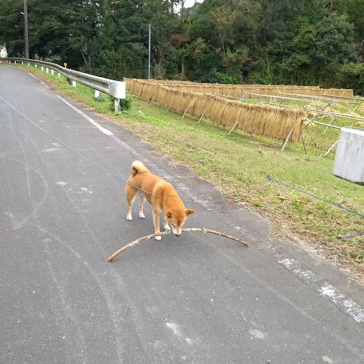 A347e3d0 b604 4515 a63f ba898a70ac5b 1539390234890