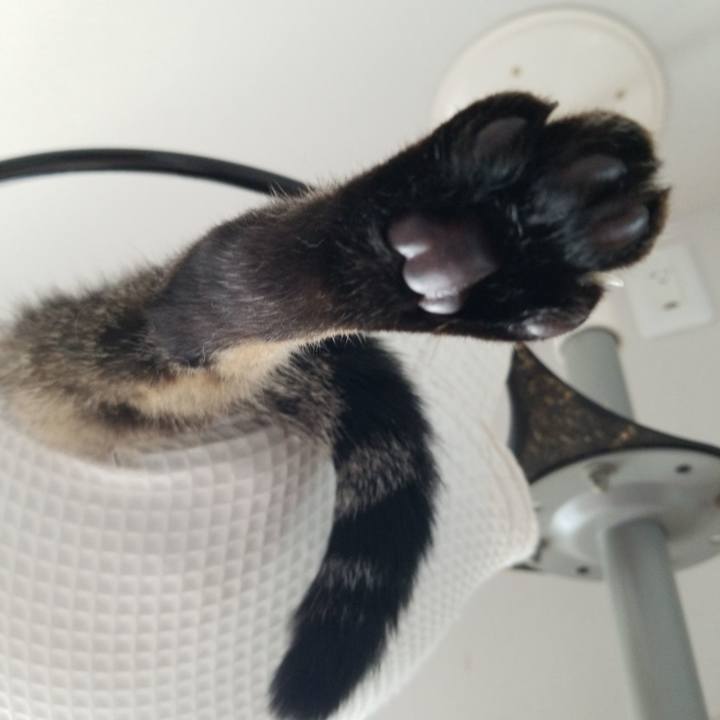 A34804bc b649 46b0 a4ab e718c07d6b5c 1569214039763