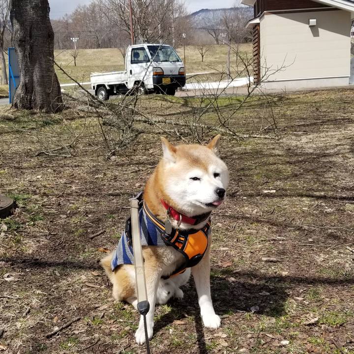 A348241e 0e9d 47c1 8380 770d52498b3c 1711507052781