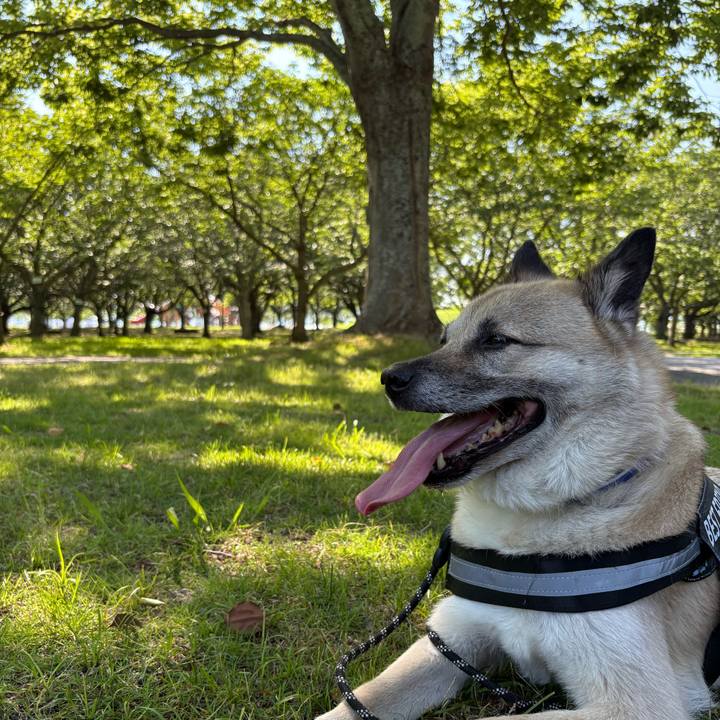 A34844c5 be94 4b30 9d9c 106a5a1aeb8c 1751114852583