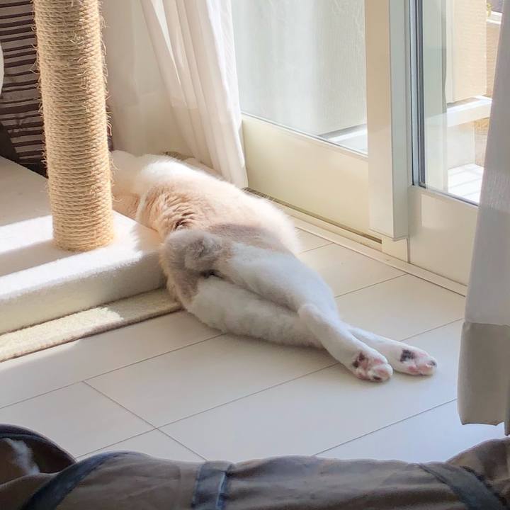 A3485e39 46eb 4aad ad59 ea37de1eddf9 1521265760702