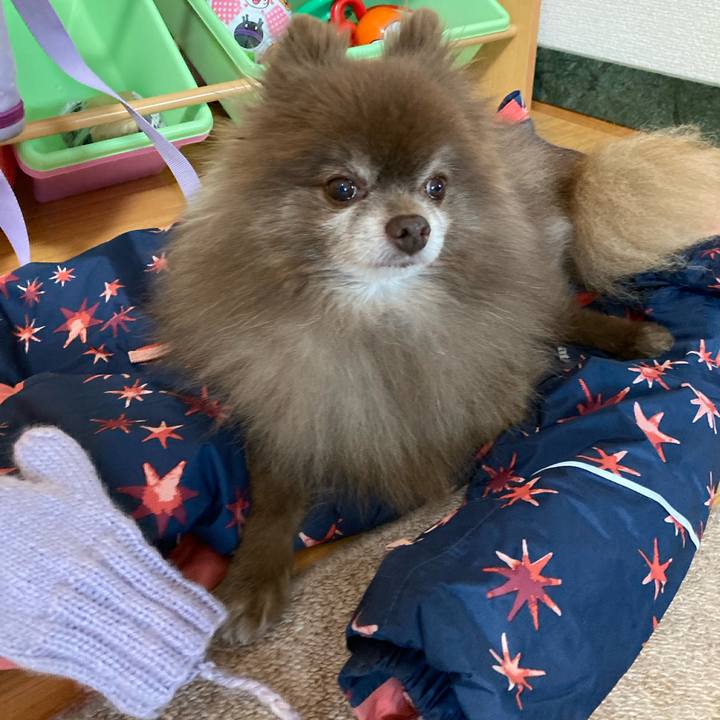 A3487c4a e538 44a6 98ba c6d78c9fbbde 1670117331917