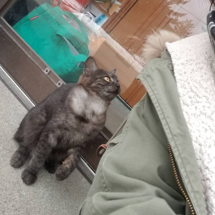 A3487d58 72de 475c 8ab0 5b69195ada3a 1586241644011