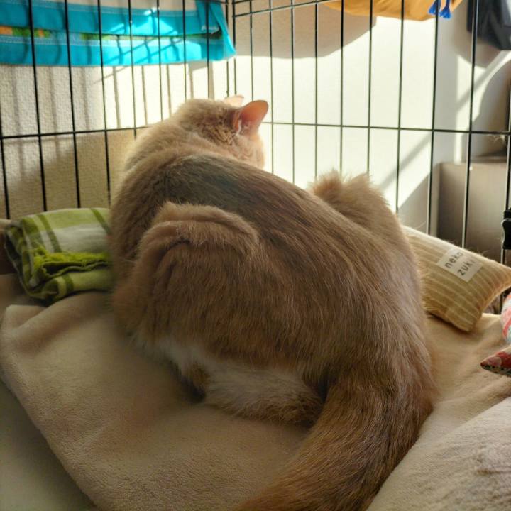 A348a776 c134 49a3 a7ab d1d2cfb3fbec 1670026482477