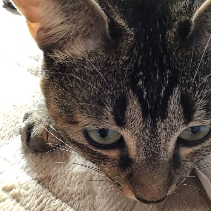 A3490bbe 27cf 488e a8a8 b64812c99afd 1603773042243