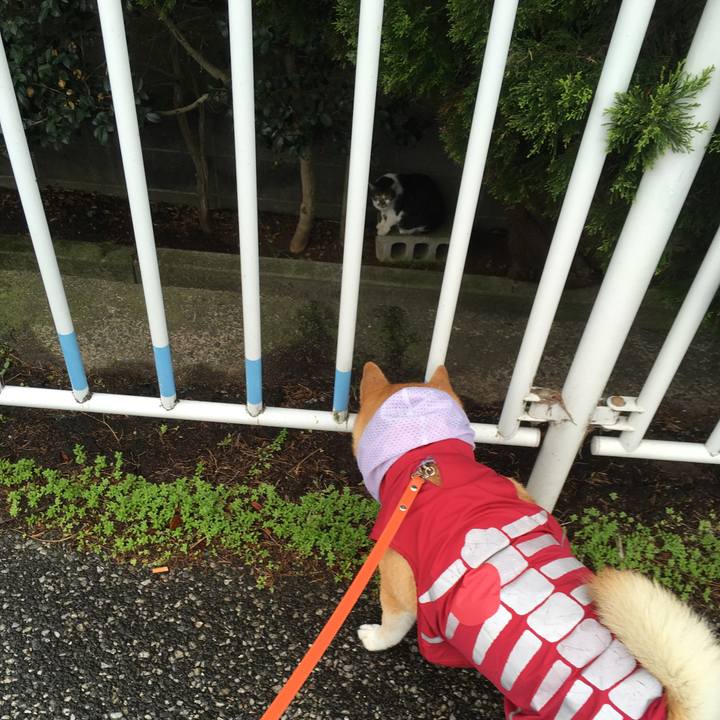 A349a100 4430 4011 a17a b1c444f5dfcd 1613217529191