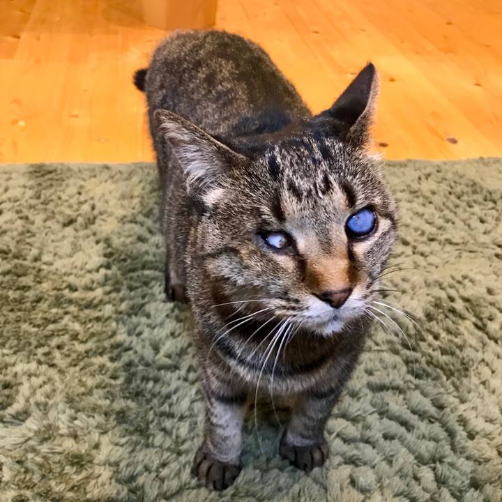 A349db58 11bc 4479 9938 105d091309ee 1585140122029