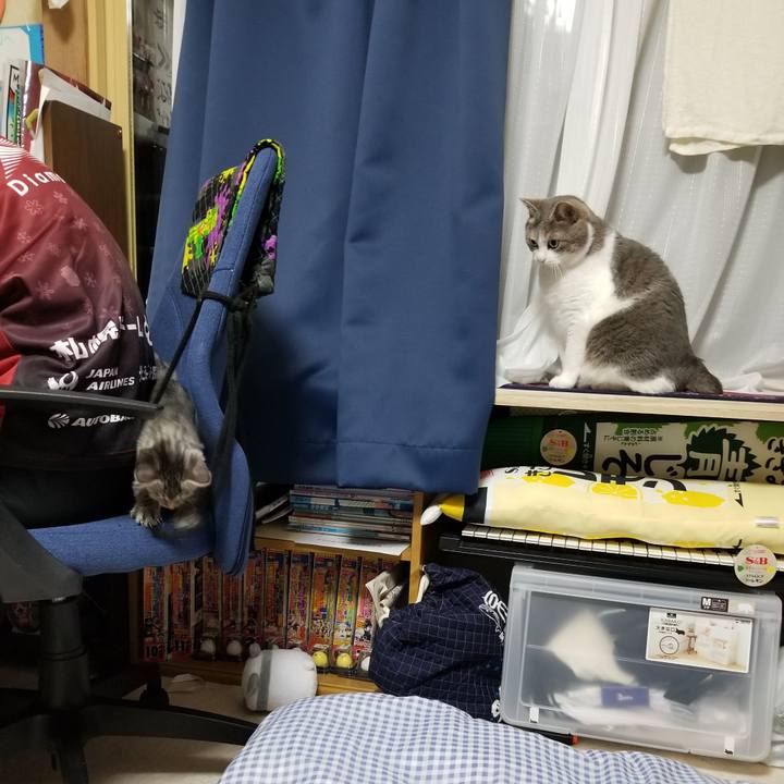 A34a04ea 7b70 48b2 bee1 1bcdc05e5af6 1663524325582