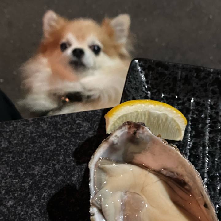 A34a19b8 f112 4d36 b5d5 8a059e3cd138 1760705090397