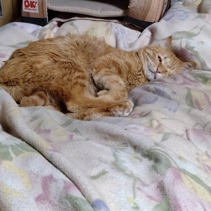 A34a4b04 f709 479c a32c 25bdc2b4b6f7 1677502813638